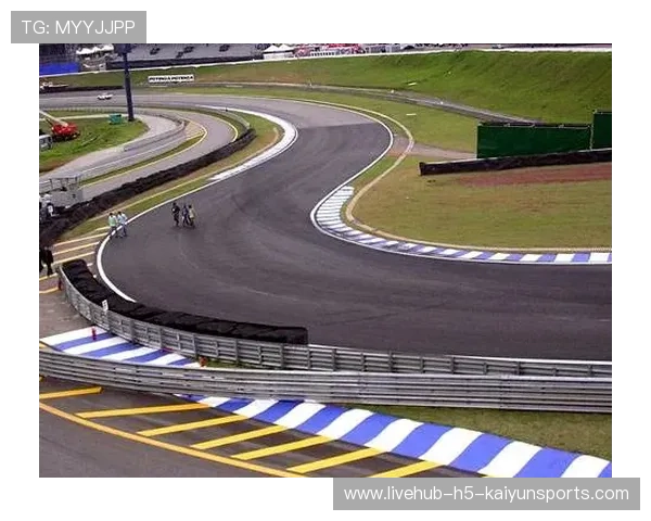 赛车弯心过度压线引争议：真相背后，速度、艺术与规则的博弈